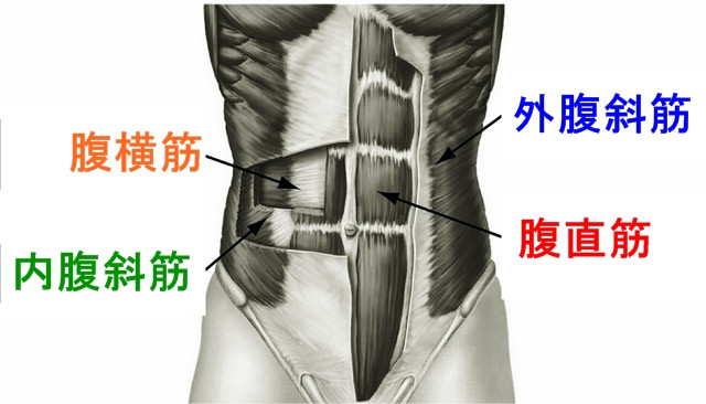 腹筋パンチは効果がない ボクシングで強くなれる効果的な腹筋の鍛え方を解説 ソウのブログ